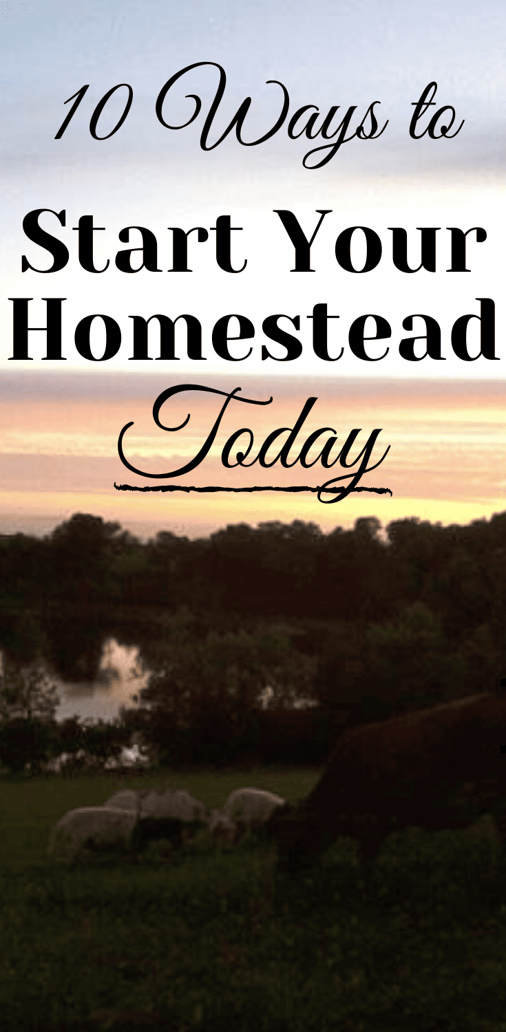 10 Ways to Start Your Homestead
