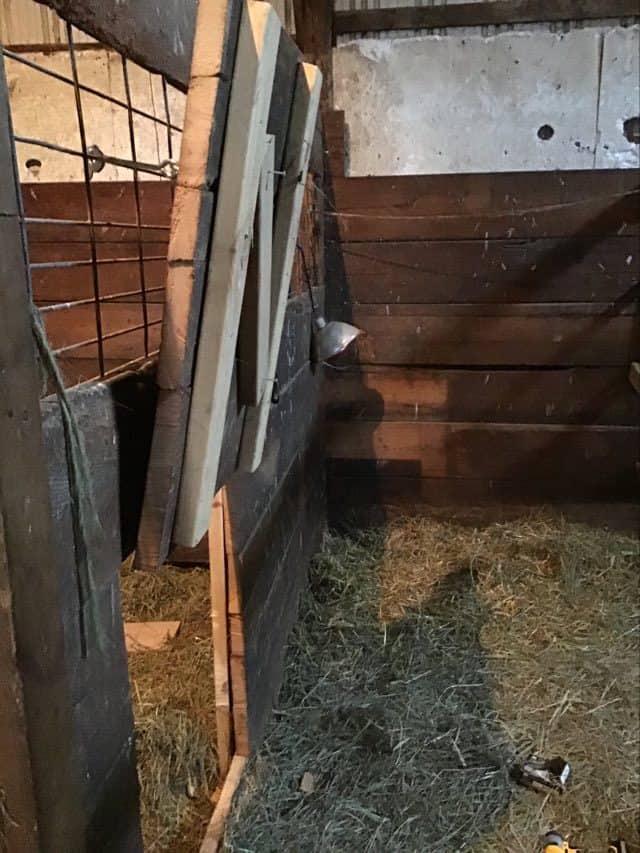 Goat door rough and tumble farmhouse