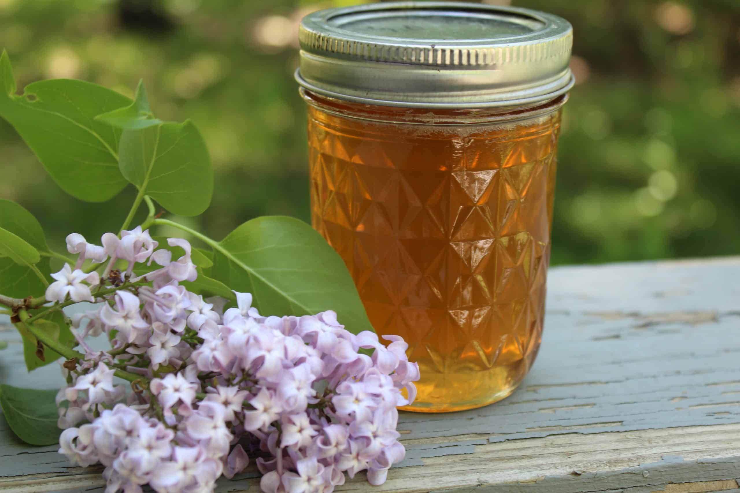 Lilac Jelly Recipe