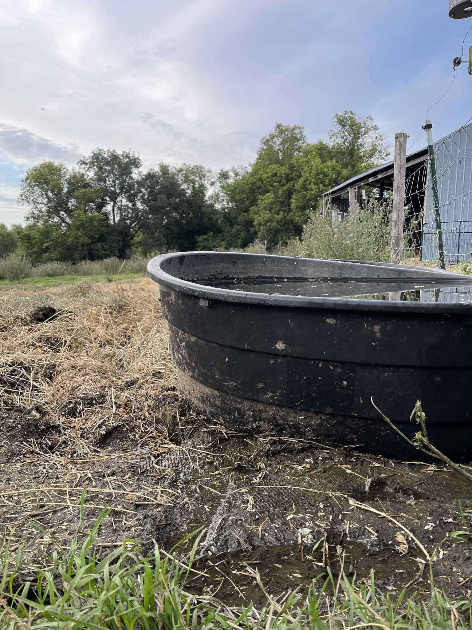 Quick and Easy Way to Fix a Leaking Stock Tank