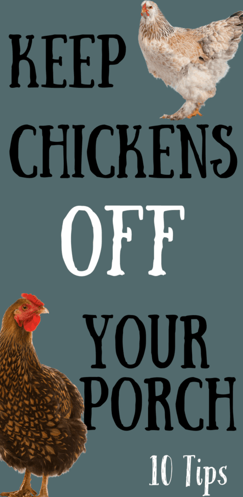graphic says keep chickens off your porch 10 tips with two chickens on it rough and tumble farmhouse