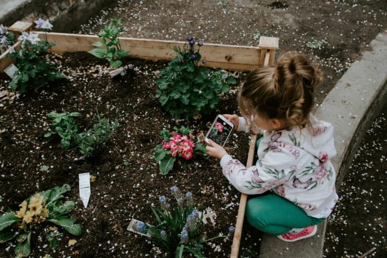 aerial view of a little girl digging in a raised garden bed