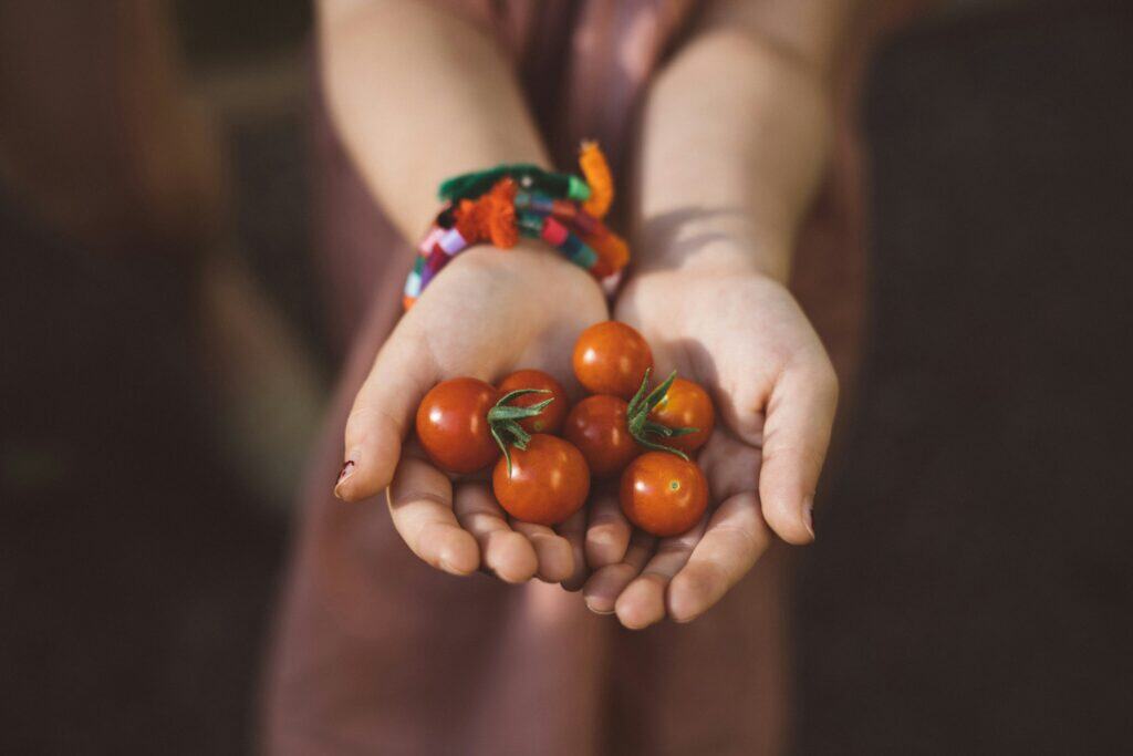 Child holding ripe cherry tomatoes for a garden kids will love.