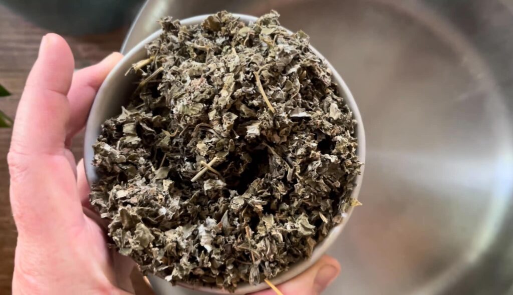 dried raspberry leaves in a measuring cup